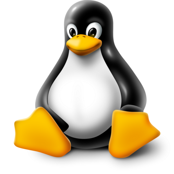 Administration système Linux